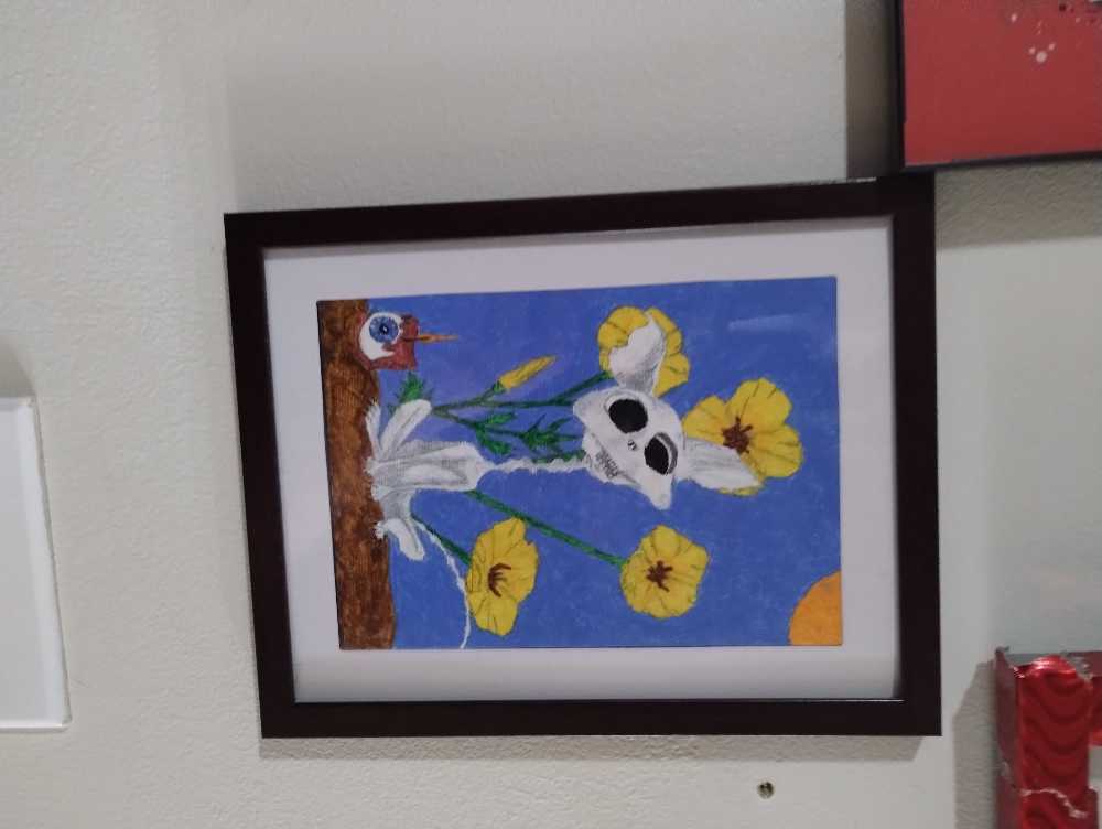 "Visions Of A Dreamer"