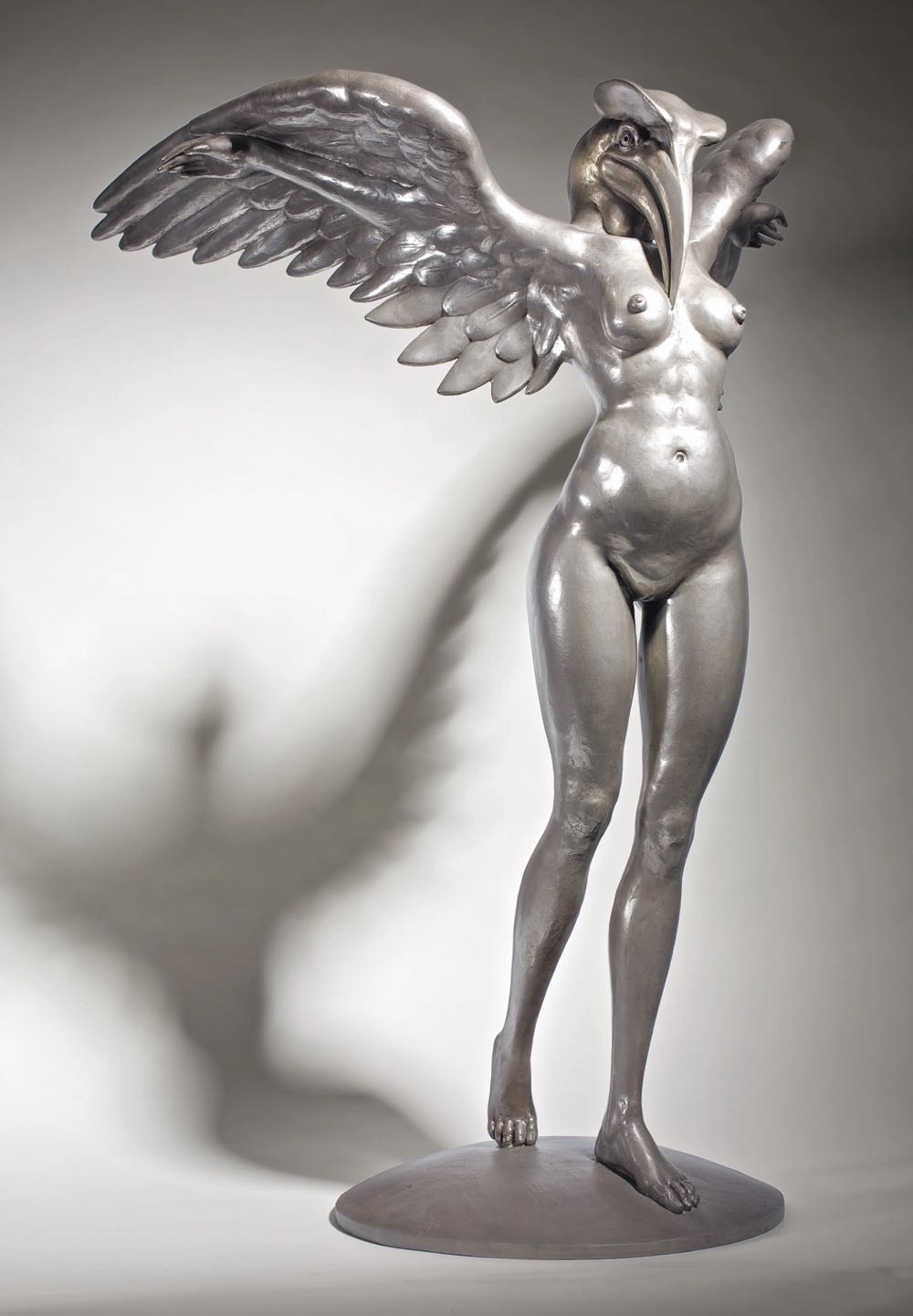 The Missing Widescreen Special Edition