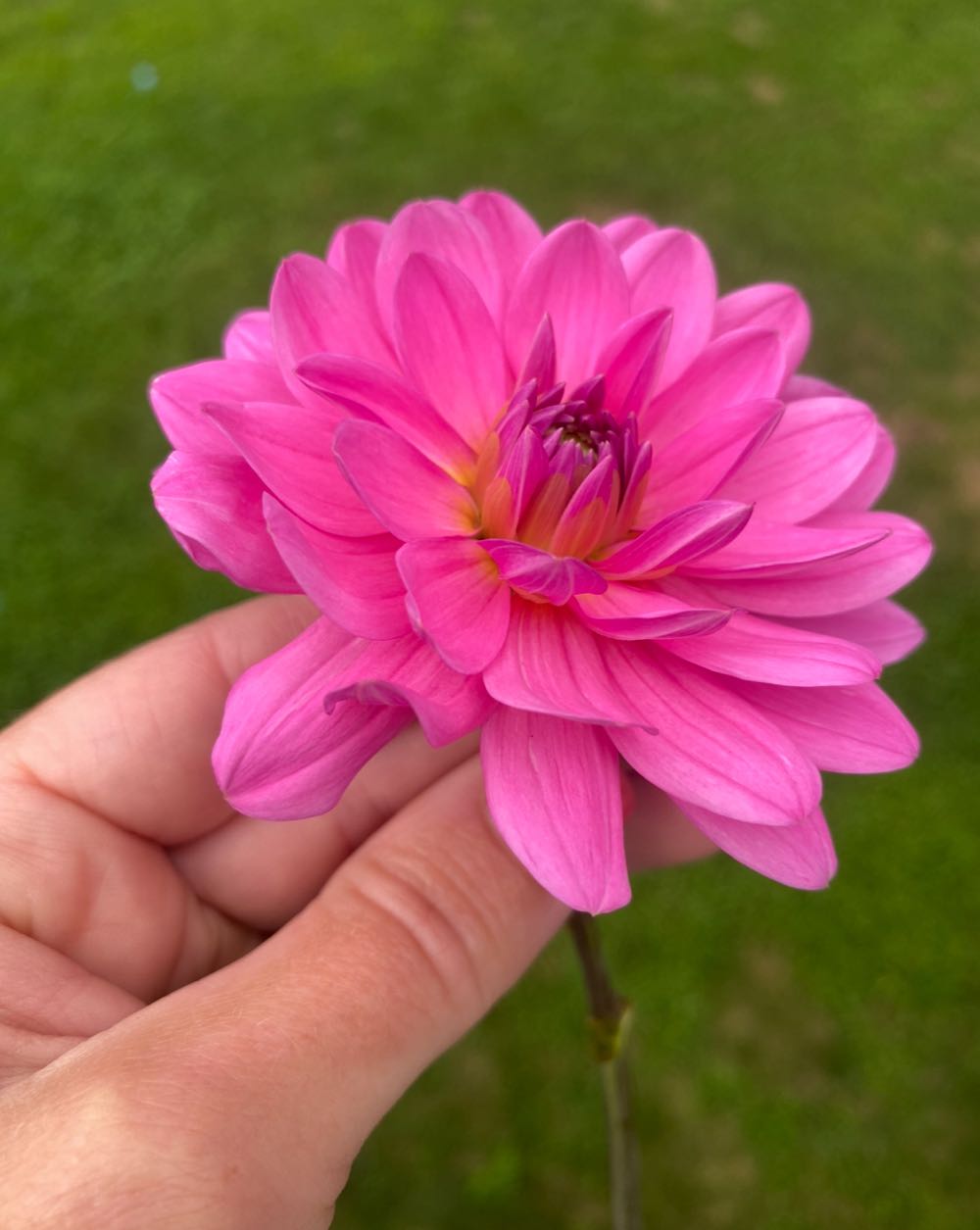 My Grandson My Prince, Precious Moments