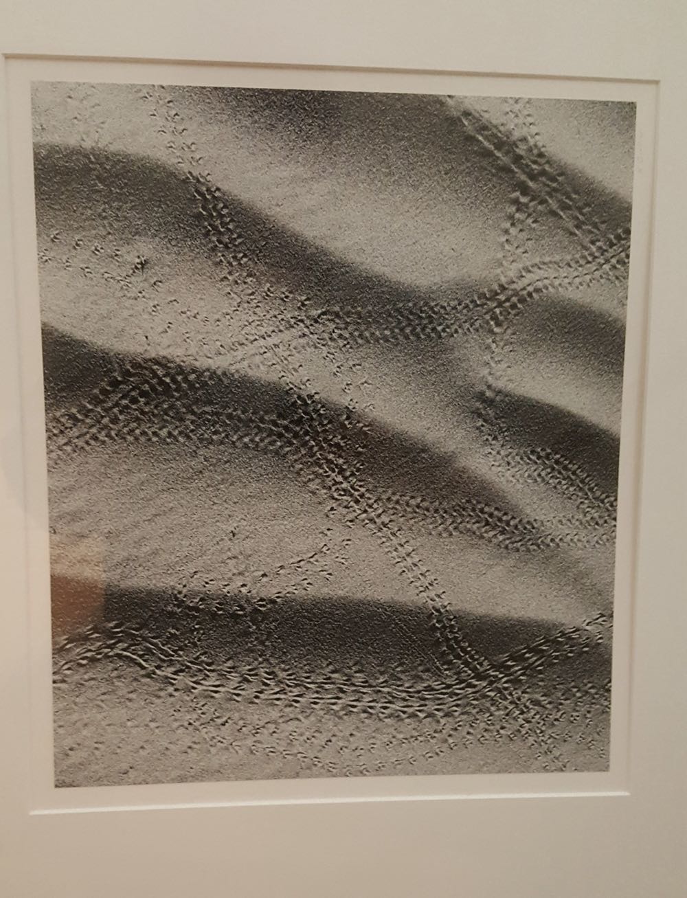 Life Can Be a Jungle