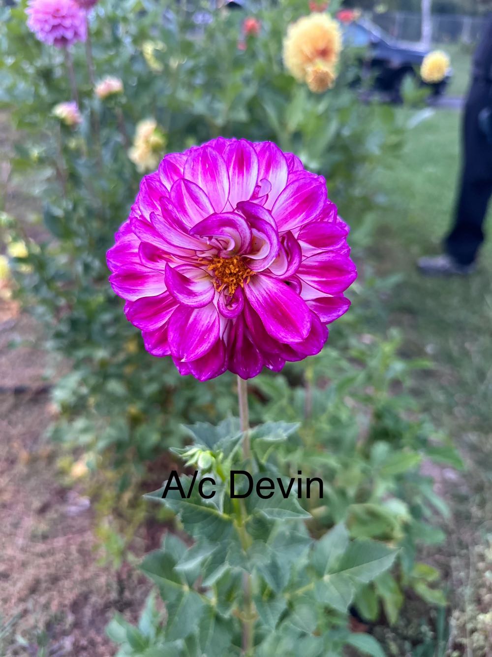 Vallejo Game: Barbarian Skin 18ml