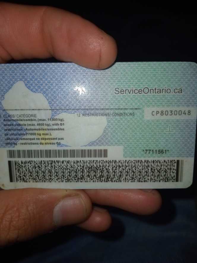 Driver’s License   art collectible [Barcode 51217877] - Main Image 2