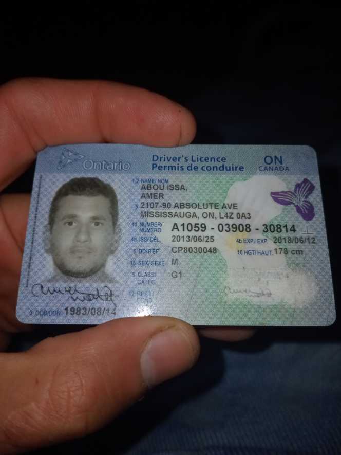 Driver’s License   art collectible [Barcode 51217877] - Main Image 4