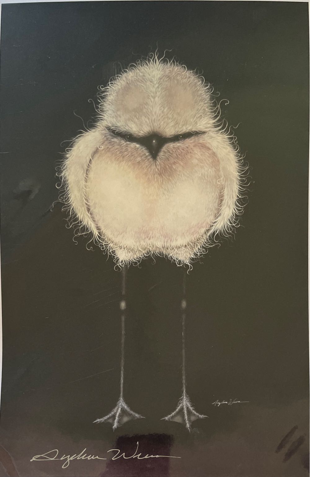 The Clippership, ARISTIDES. by Arthur E Bracy