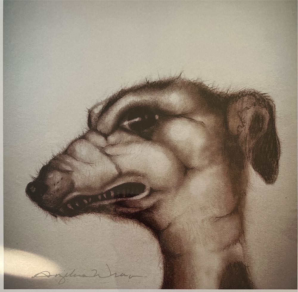 Shade: Carroburg Crimson 18ml