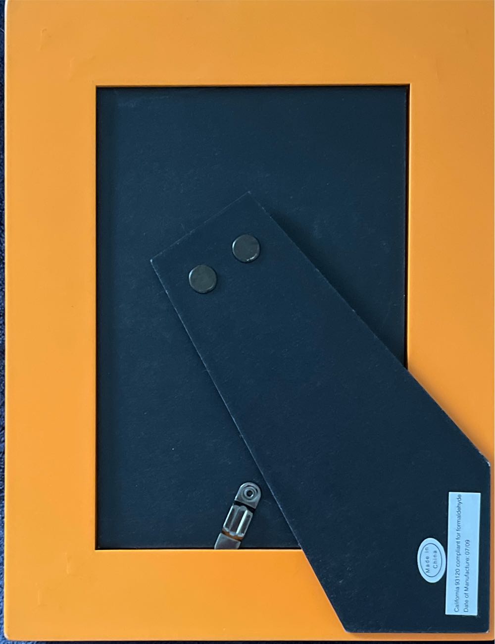 Skelanimals Frame - Toynami, Inc. art collectible - Main Image 2