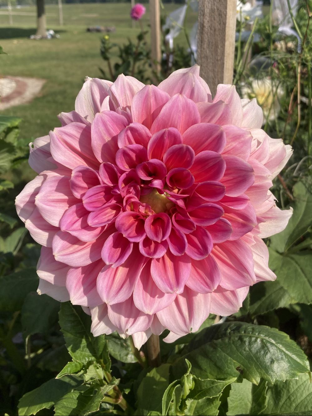 Overcoming Binge Eating: The Proven Program To Learn Why You Binge And How You Can Stop