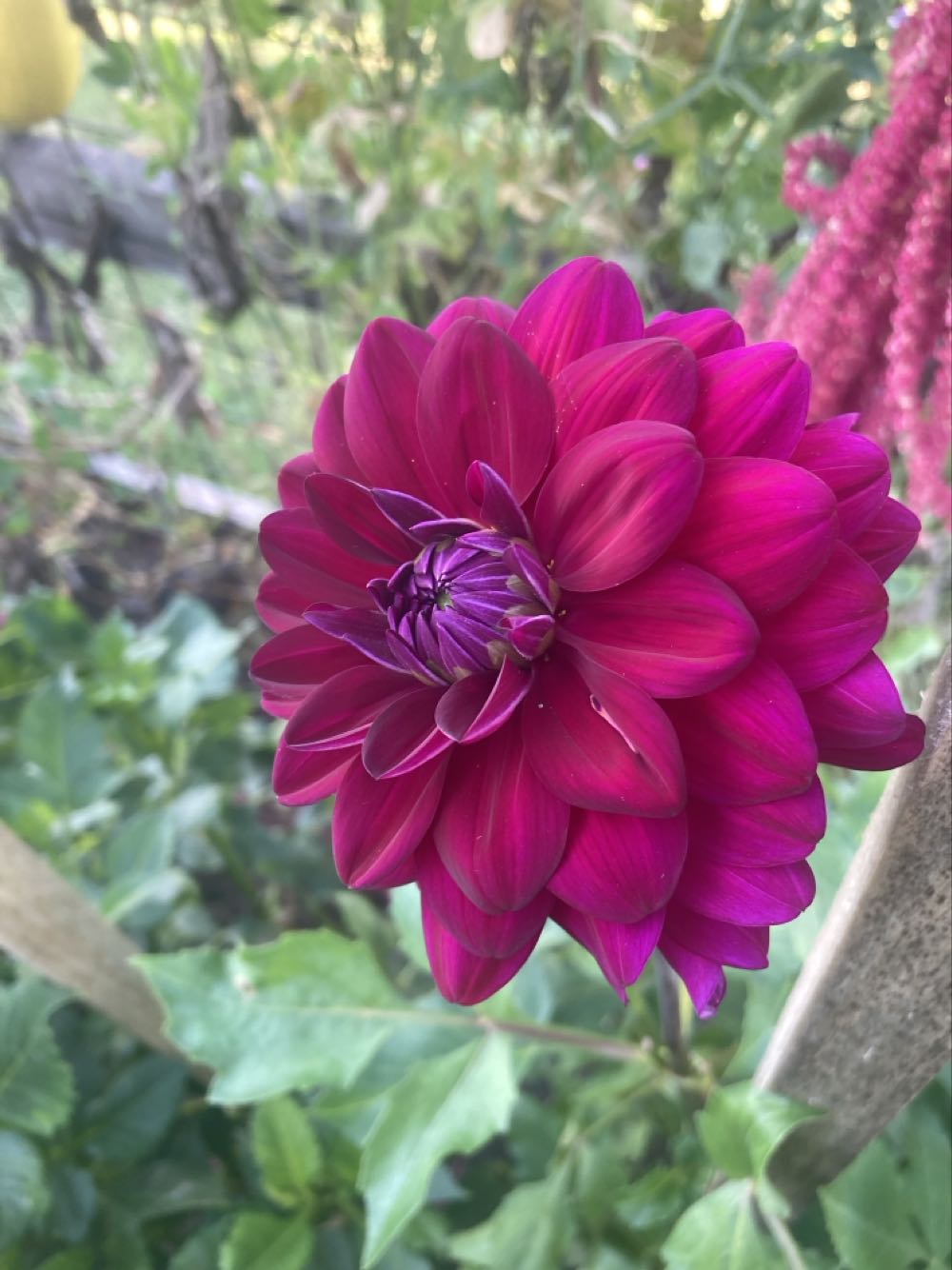 LEGO Botanical Collection: Flower Bouquet 