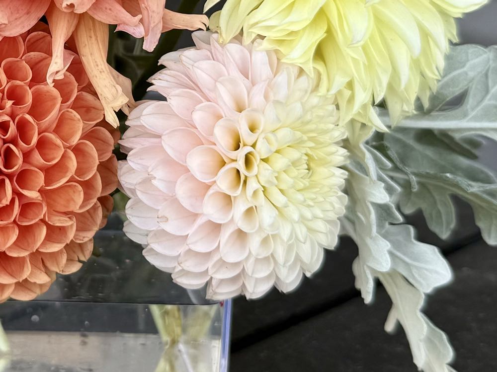 Camano Zoe - TLC Flowers on Upton Road art collectible - Main Image 4