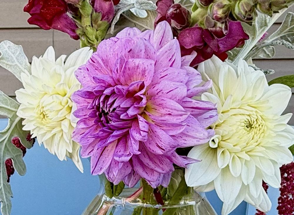 Vernon Rose - Dawn Davare art collectible - Main Image 2