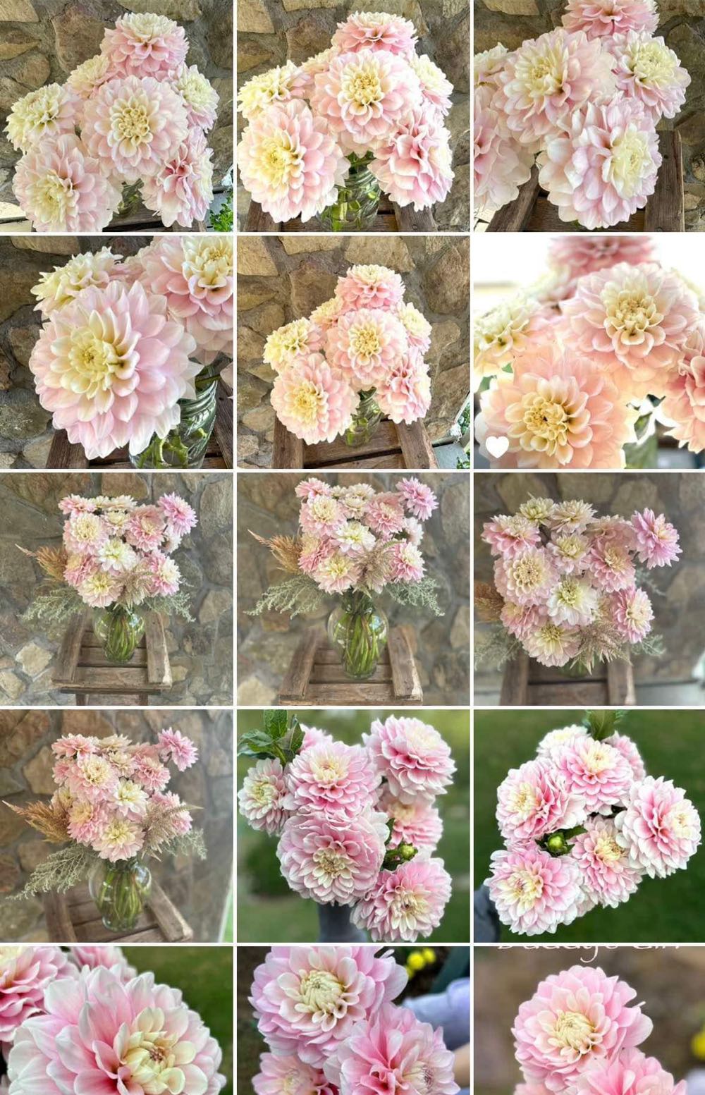 Chinese Shiwam Mudmen  4in.