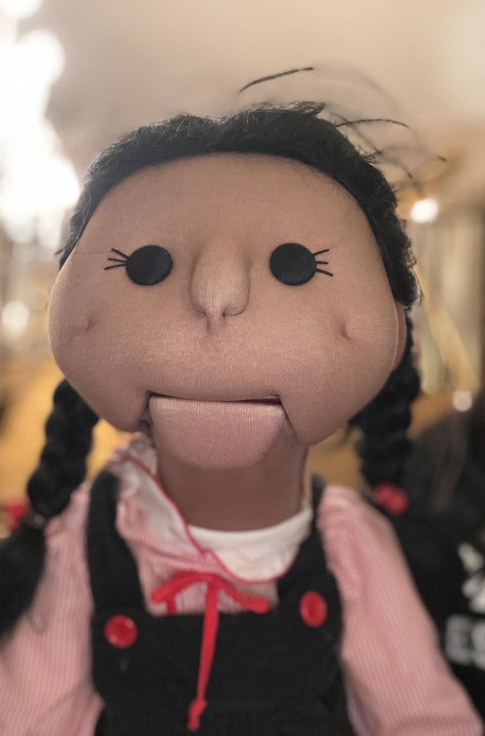 PORKY IN WACKYLAND LIMITED EDITION PORTFOLIO BOOK WITH POSTCARDS WB 1991