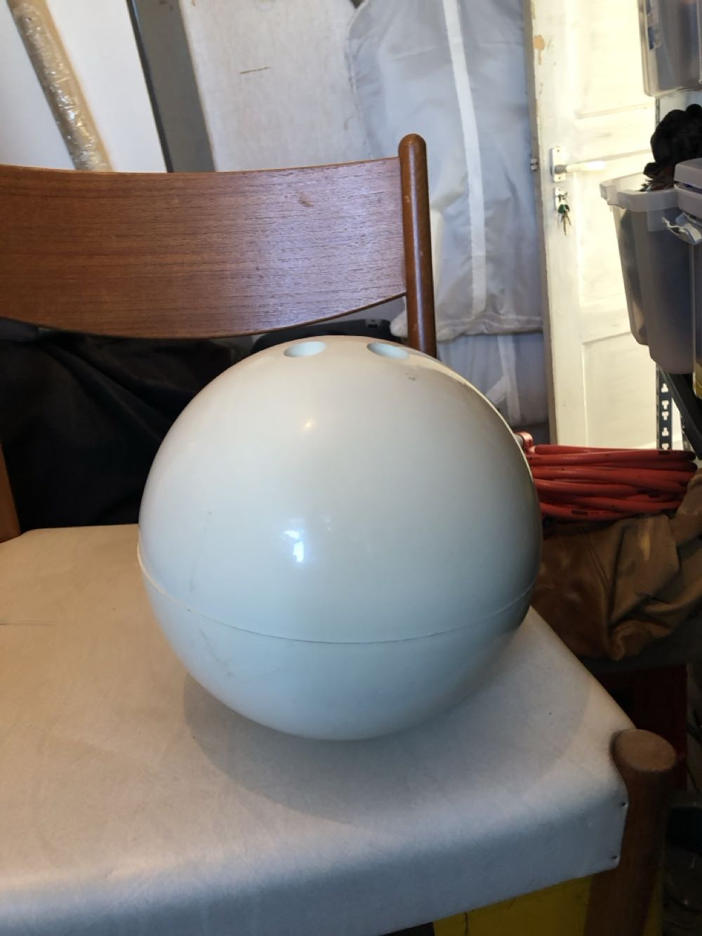 Rosenthal, Dorothea Moldenhauer: Hirschkäfer