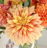 The 8-week Blood Sugar Diet: Lose Weight Fast And Reprogramme Your Body For Life Dec 17 Mosley Michael