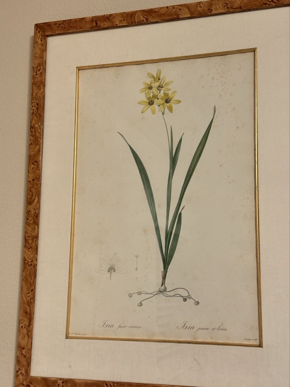 Mr Doodle Coloring Book Vol 1  ( Full Set)