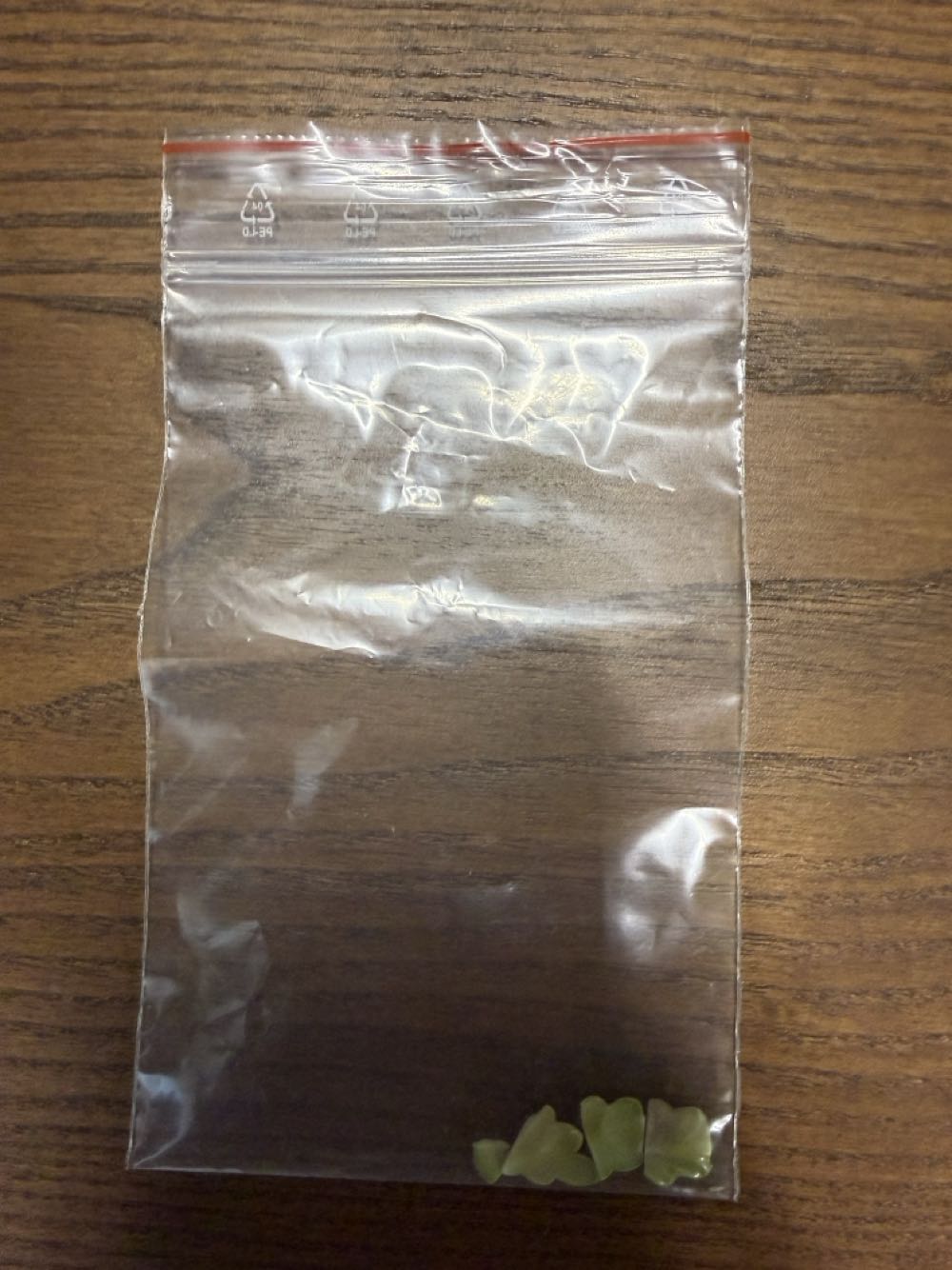 Dresden Potschappel, Papagei  art collectible - Main Image 4