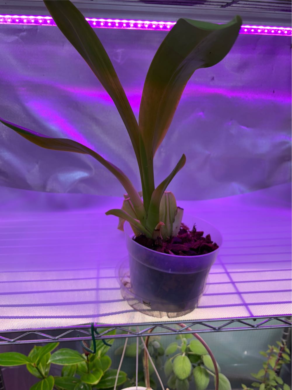 Tell Me You Got That On Tape