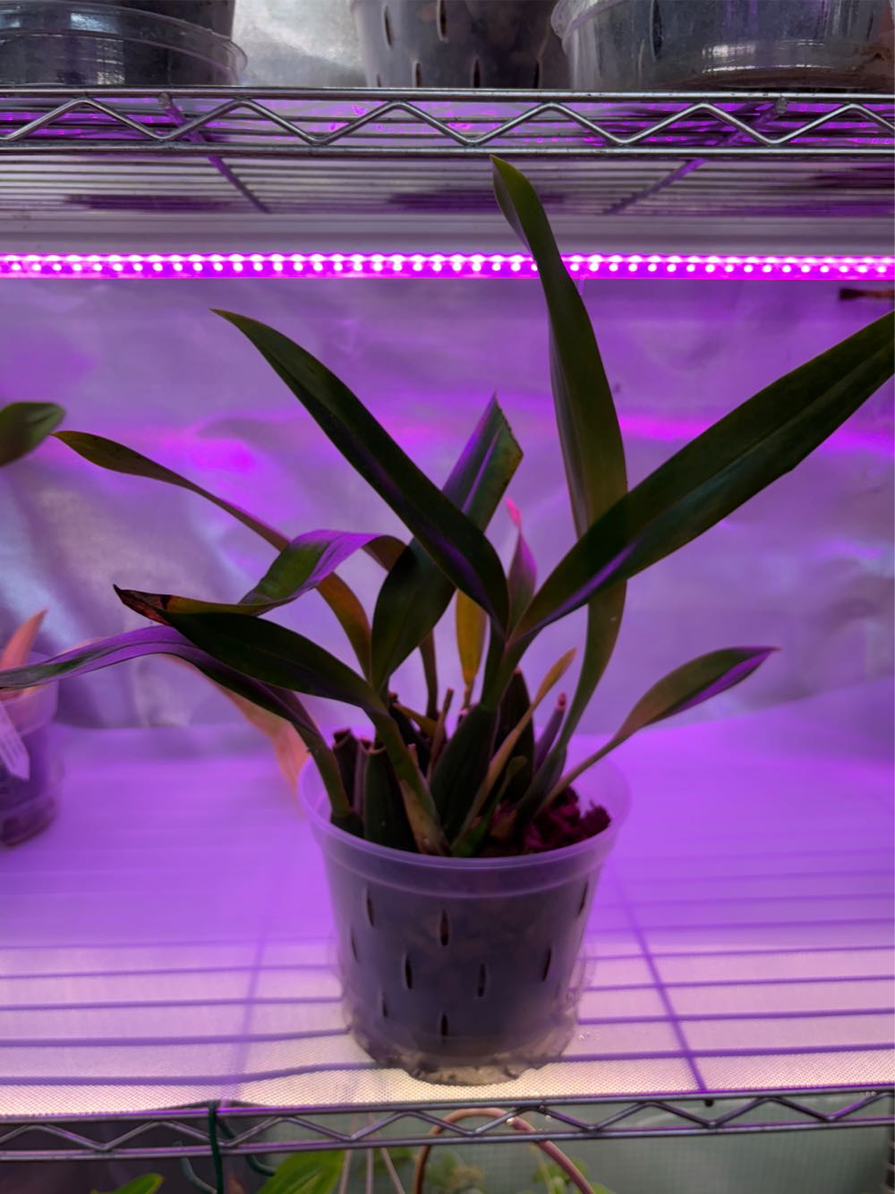 The Feeling Brain: The Biology And Psychology Of Emotions