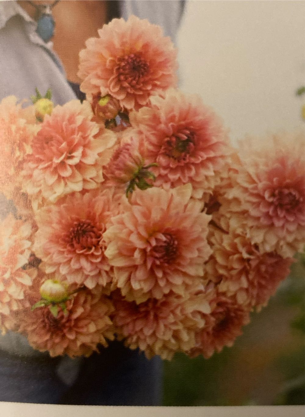 Predictions In The Brain: Using Our Past To Generate A Future