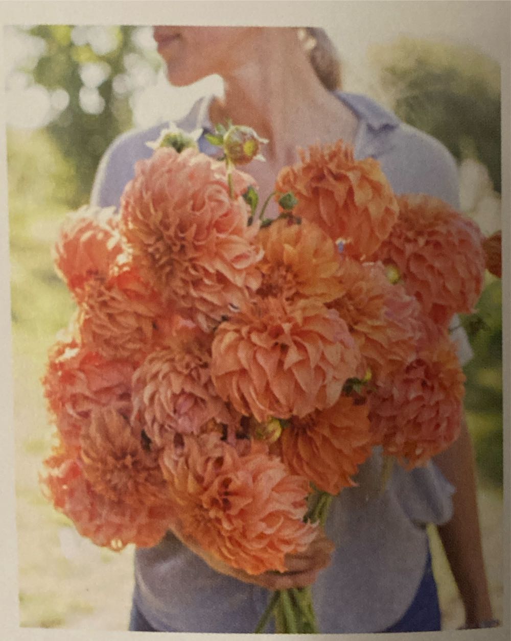 Club Nintendo Kirby Star Stacker Poster