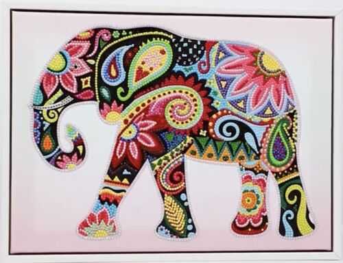 Truncata African Moth