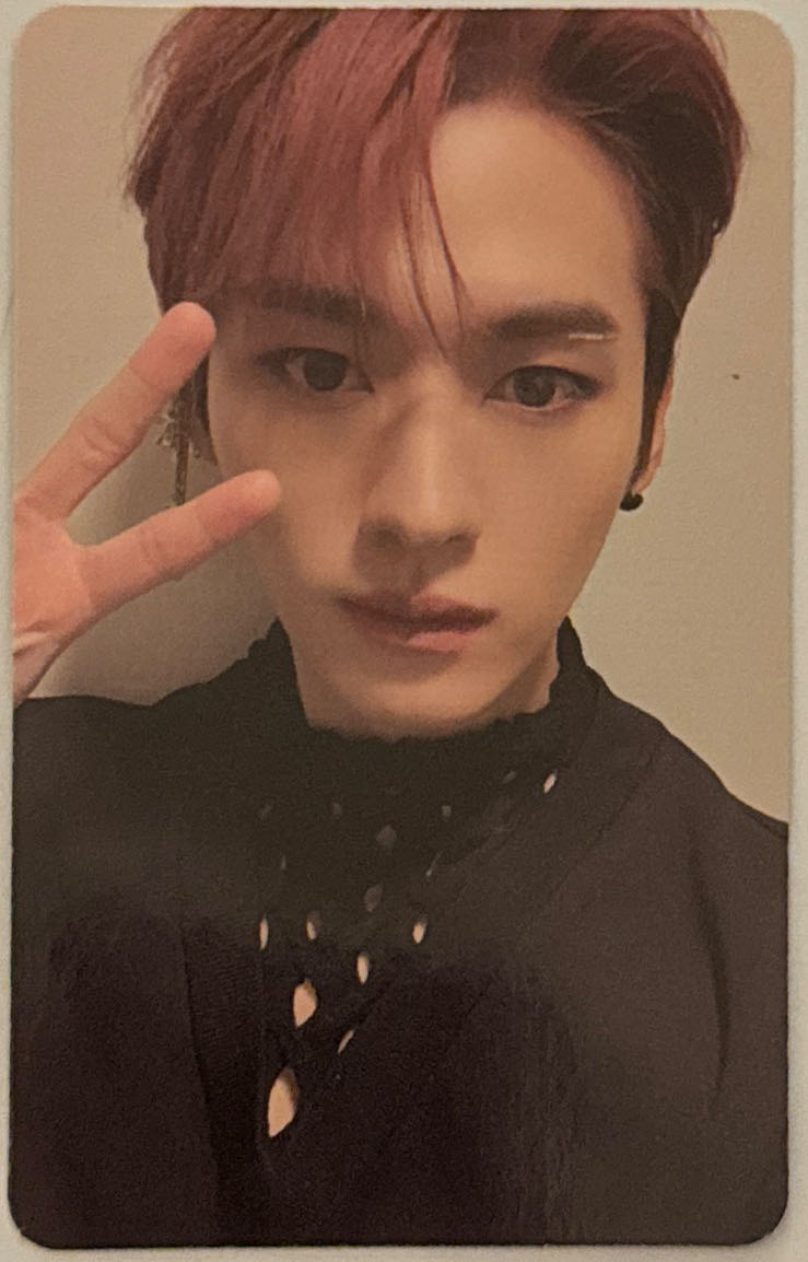 Club Nintendo Yoshi's Story Double Poster