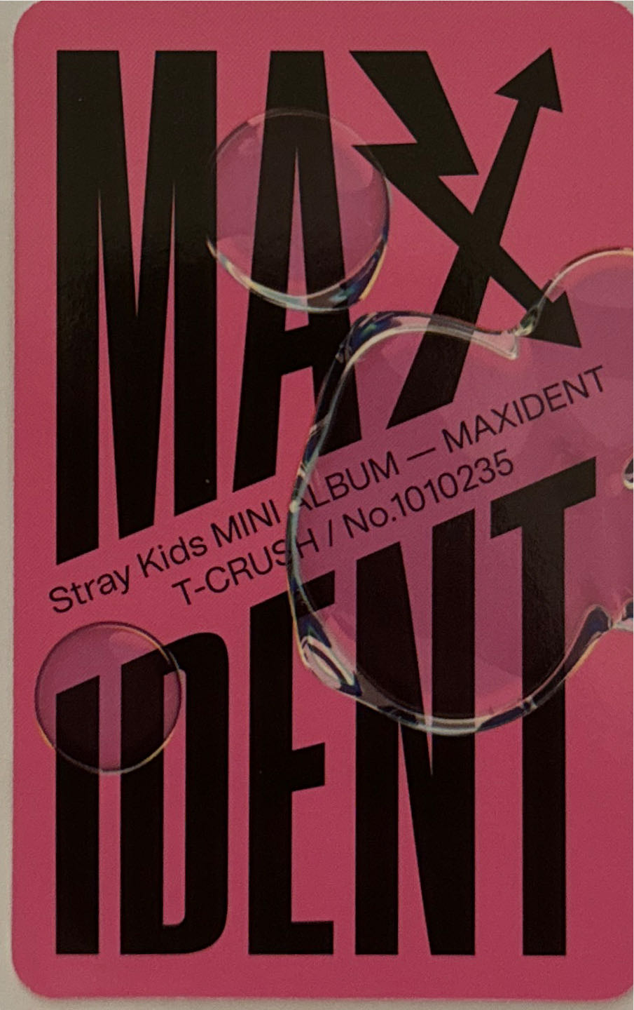 Maxident - Changbin art collectible - Main Image 2