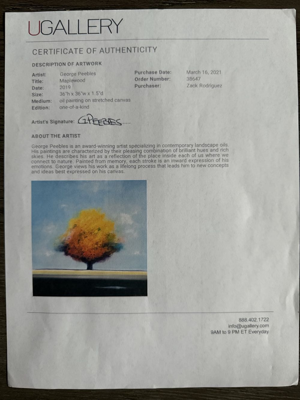 Maplewood - George Peebles art collectible - Main Image 2