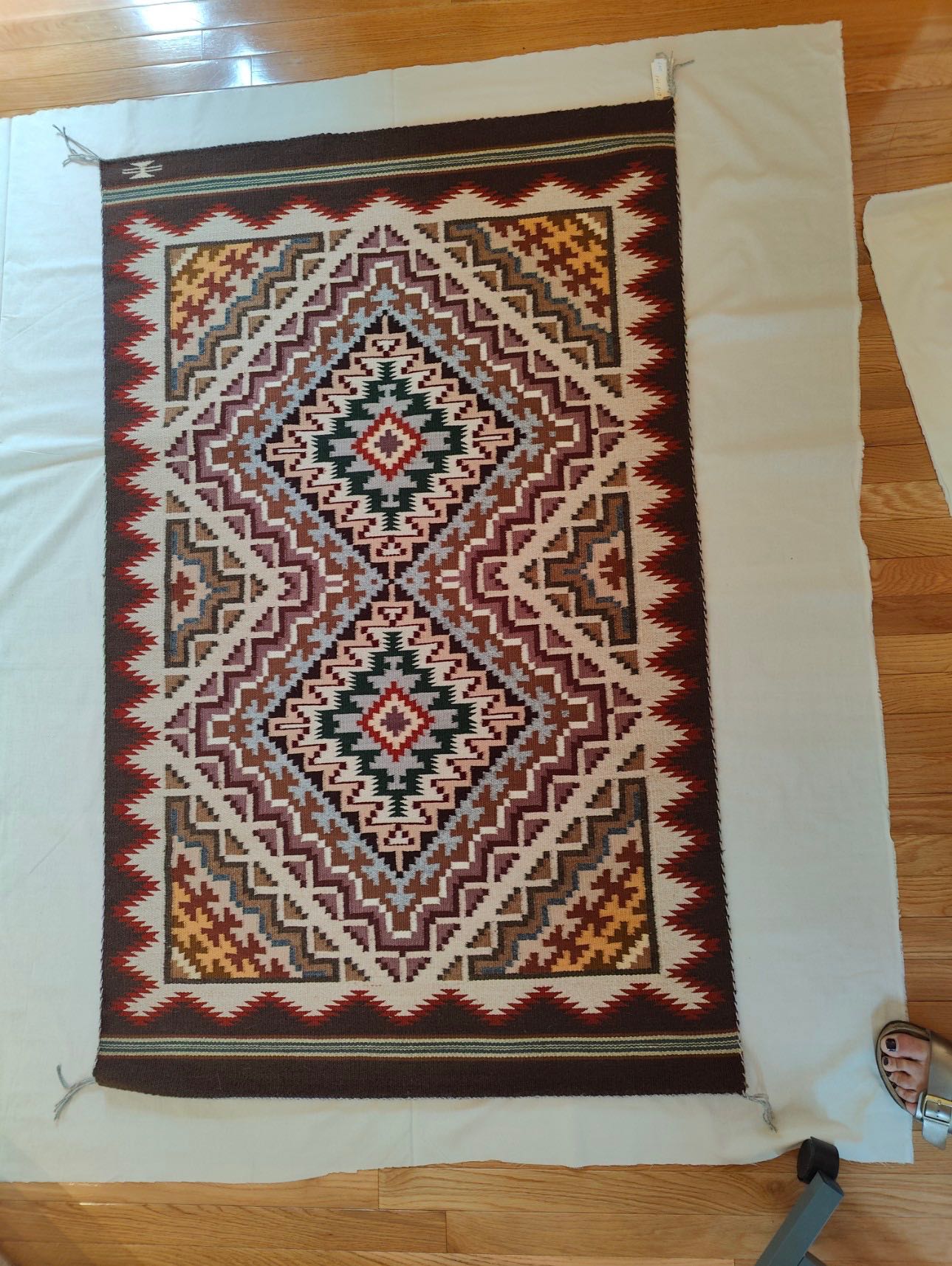 Star Wars Limited Edition Collector Film Frame 70mm Han Solo Edition