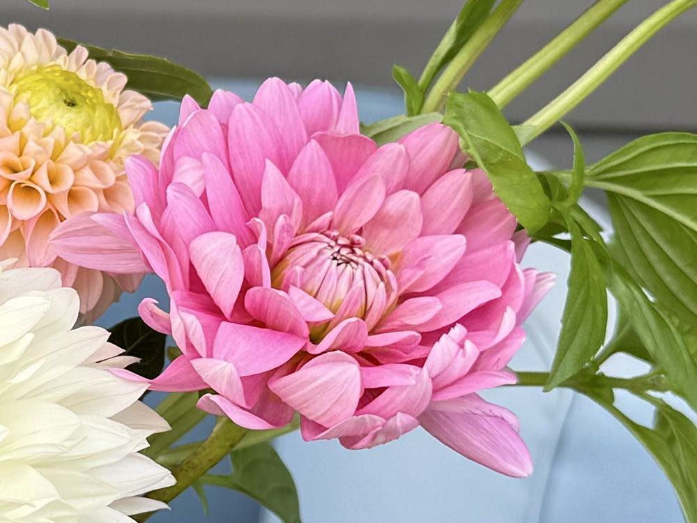 Smooches - Genevieve Ralston art collectible - Main Image 3