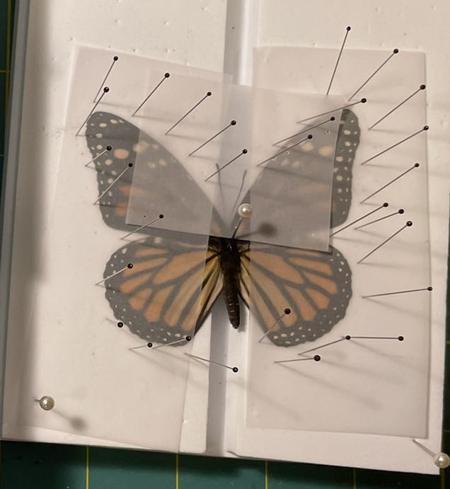 Monarch  art collectible - Main Image 3