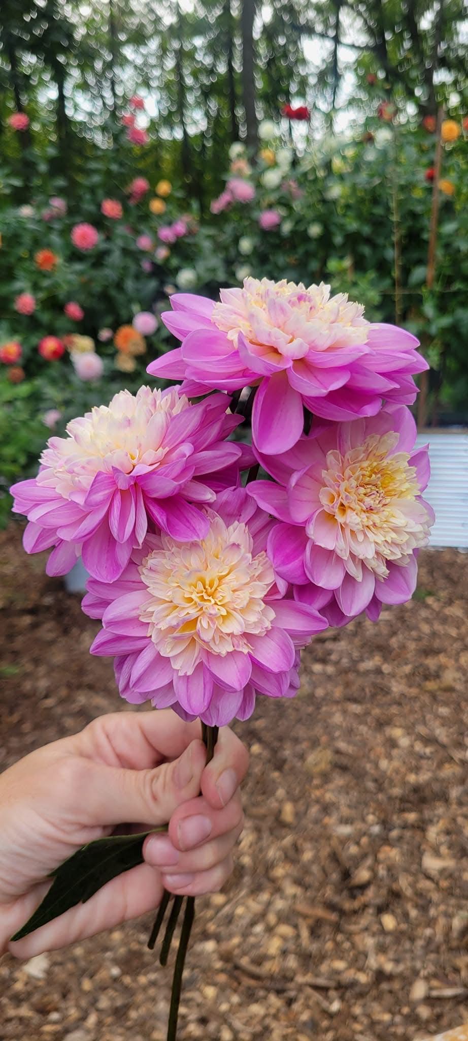 Take Off** - Tara Ferro art collectible - Main Image 2