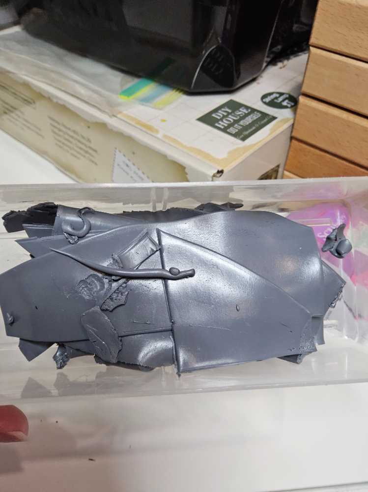 Medieval Cat In Ocre