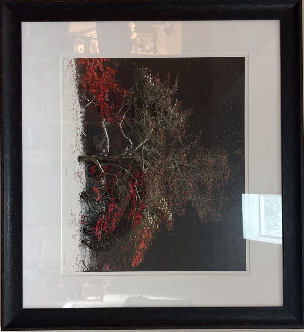 Ink & Claw: Shadow Lugia