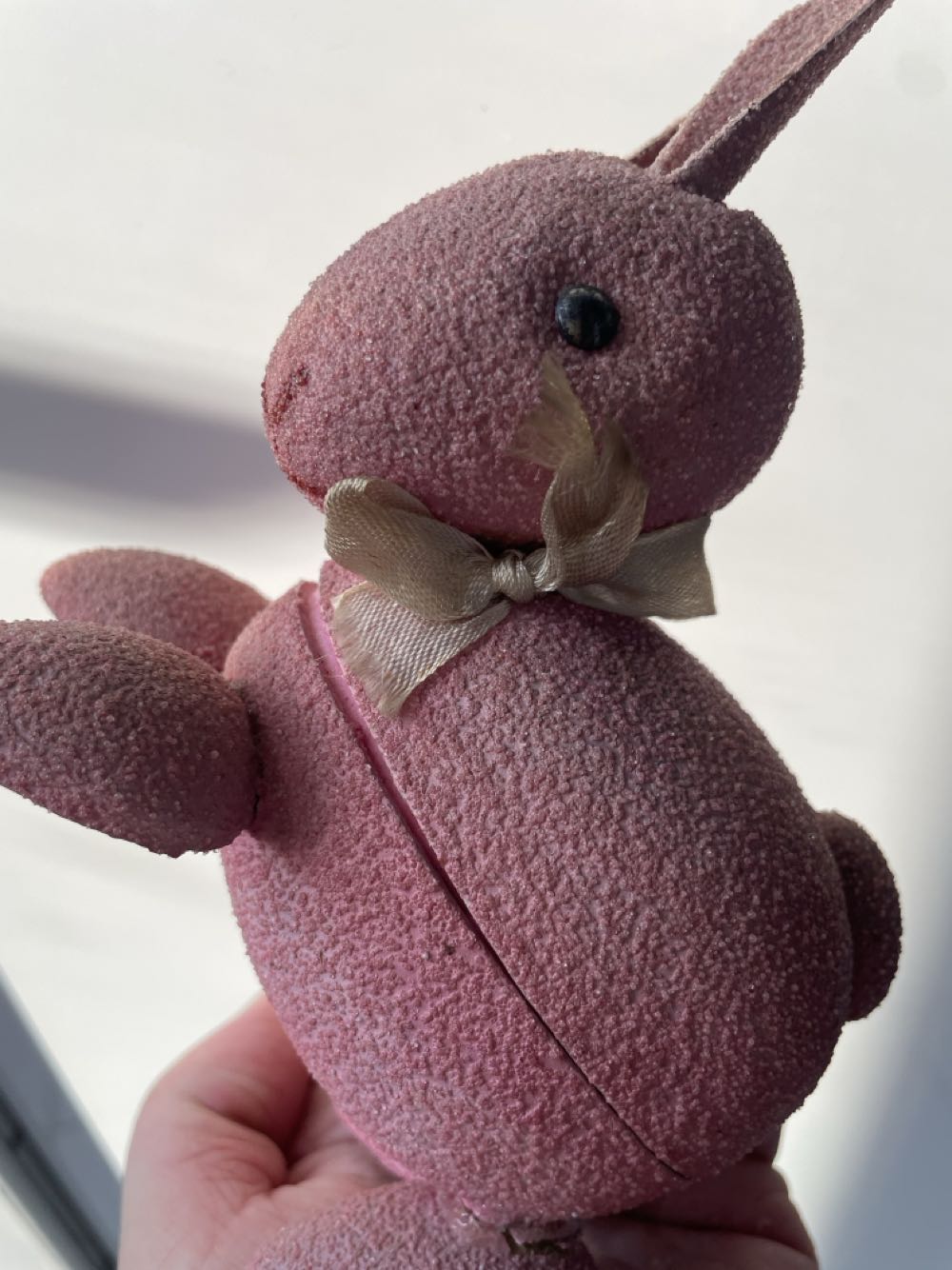 Wind and Truth Bookmark