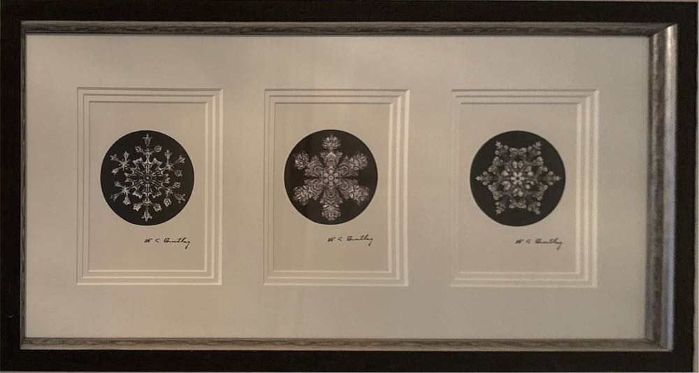 Ancestors Photo - Framed - Gray