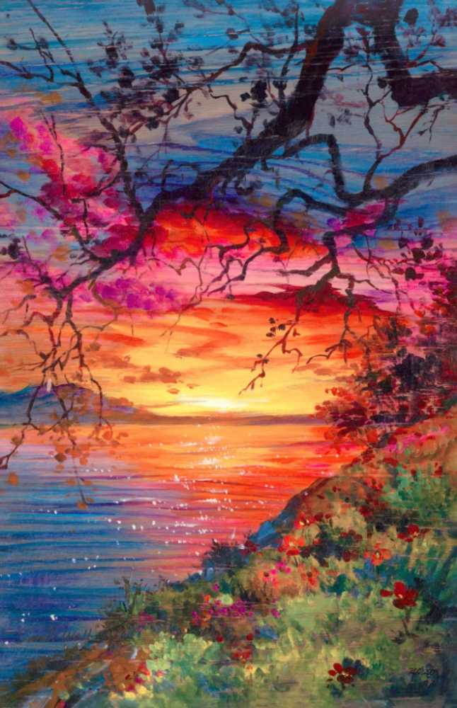 Harry Potter And The Sorcerers Stone