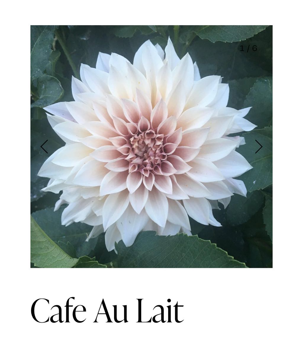 The Heritage Store Painting - Framed