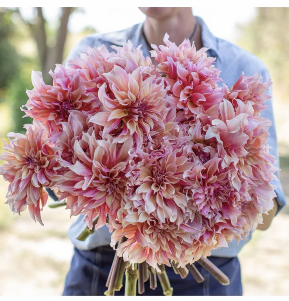 Labyrinth - D&D Blooms art collectible - Main Image 2