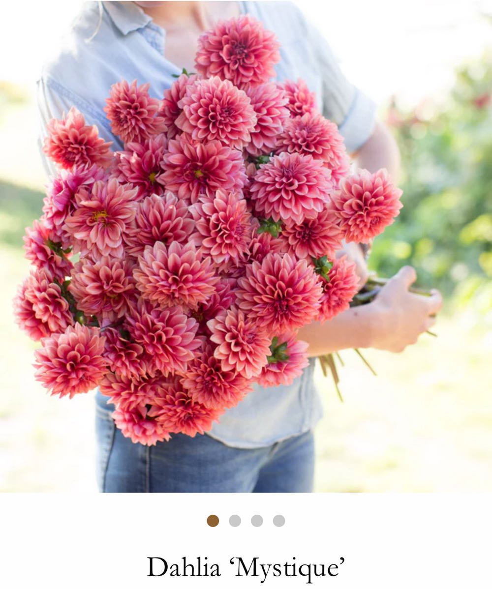 Mystique - D&D Blooms art collectible - Main Image 2