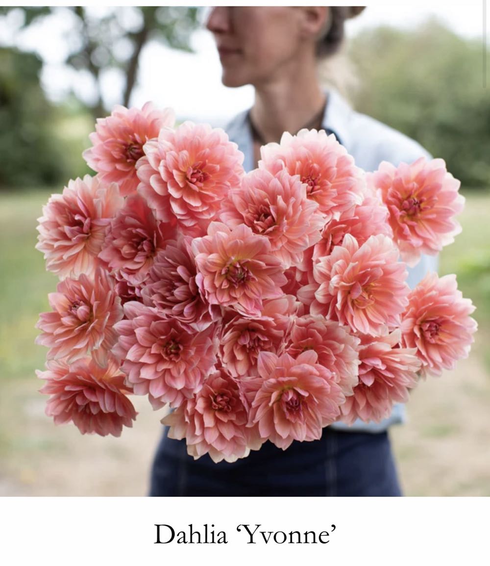 Indonesian Dot Oil Painting