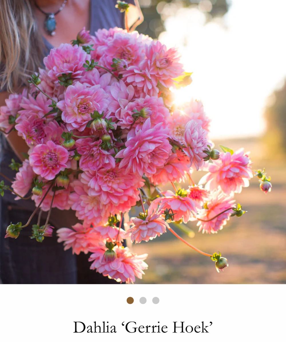 Takashi Murakami MOMA Murakami 727 Triptych Skateboard