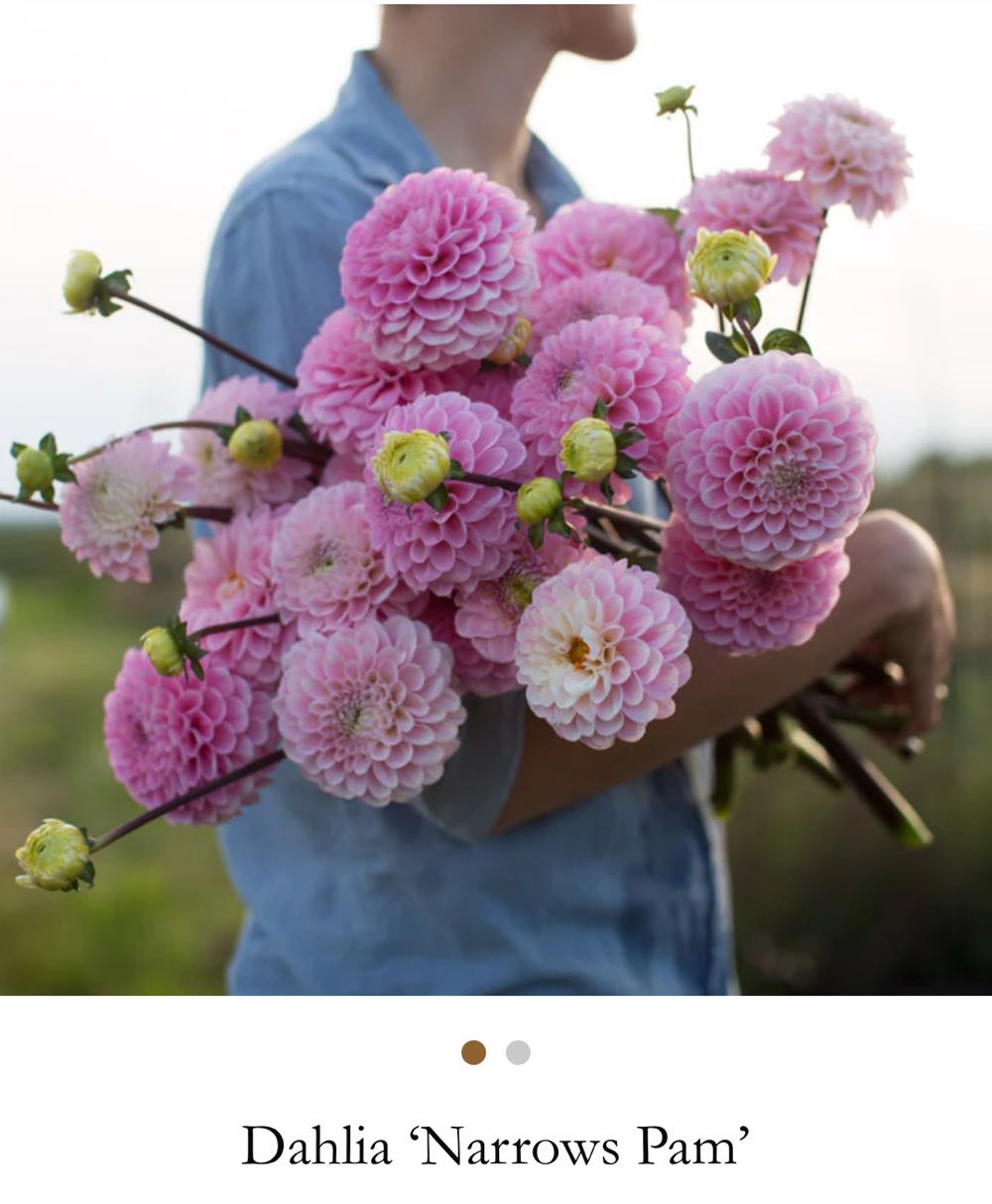 Lon Chaney In The Phantom Of The Opera
