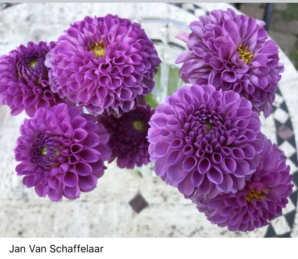 Murder Drones V Standee