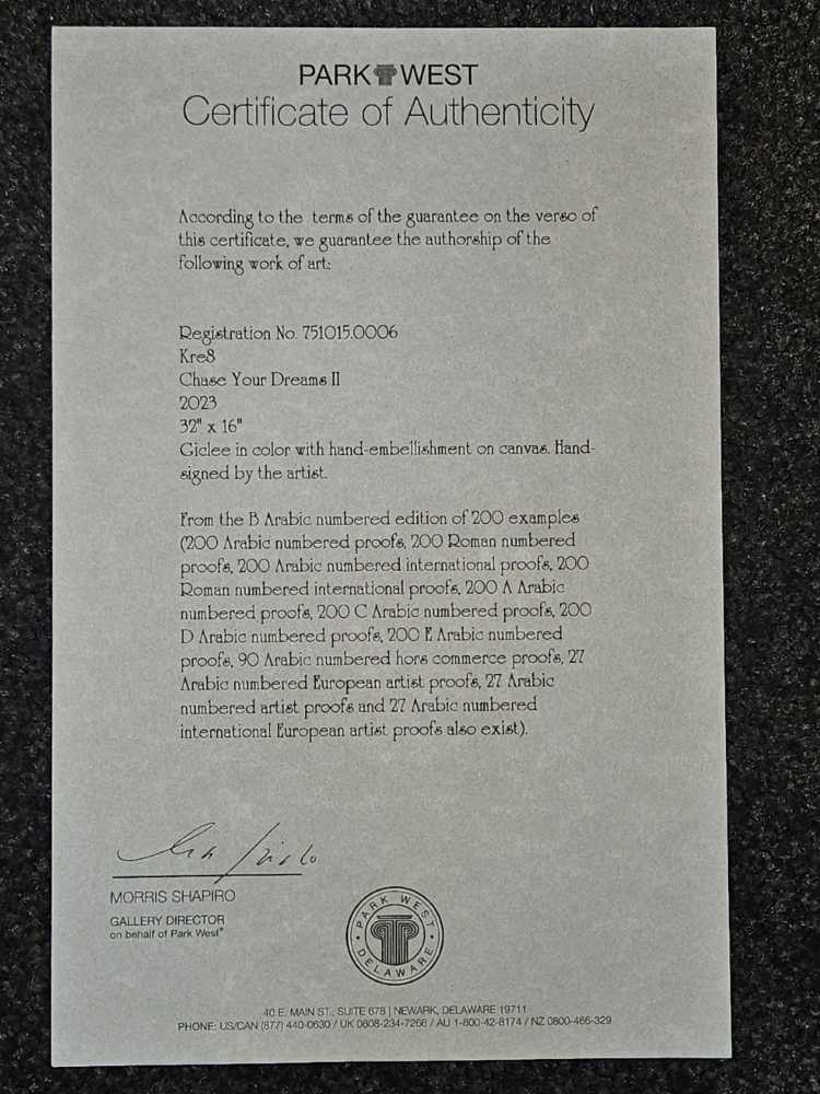 Chase Your Dreams II - KRE8 art collectible - Main Image 2