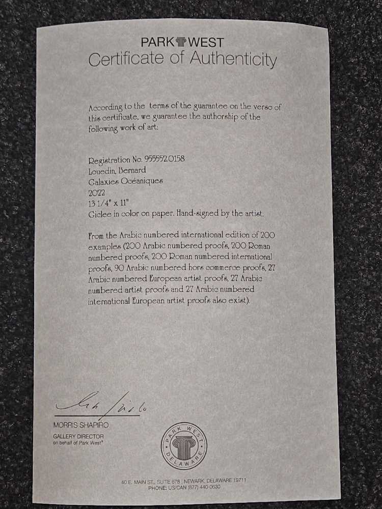 Oceaniques Galaxies - Bernard Louedin art collectible - Main Image 2