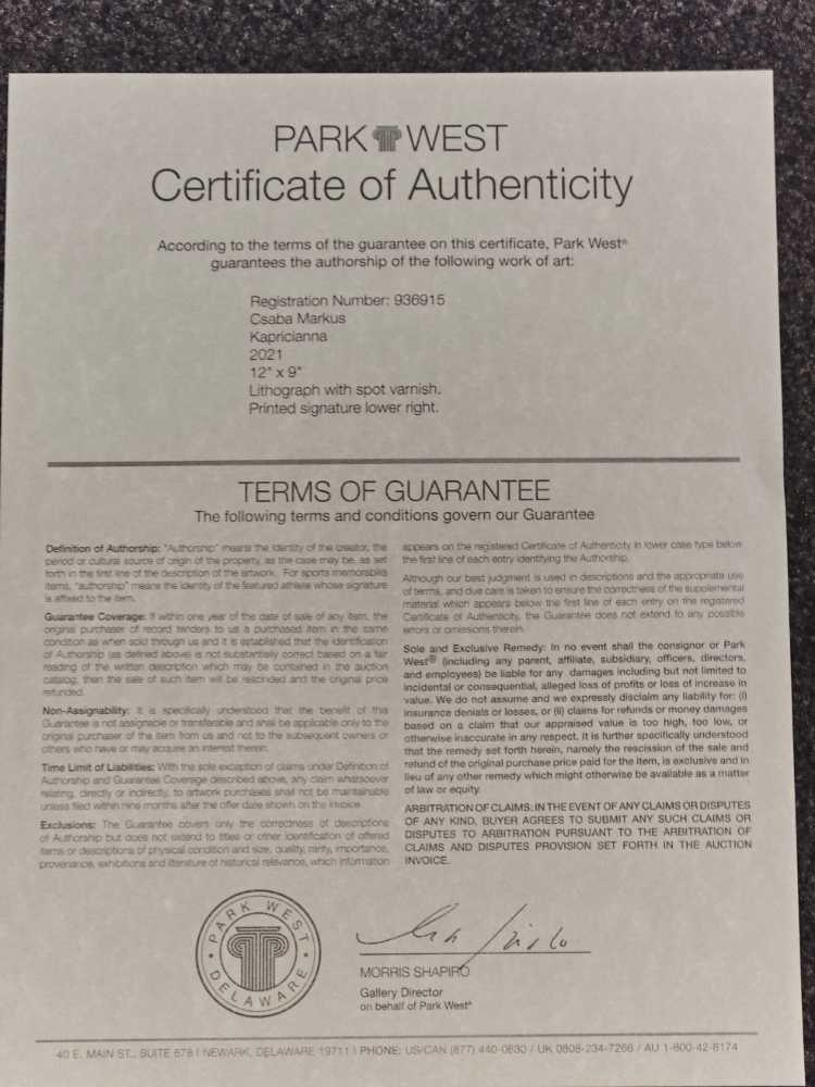 Kapricanna - Csaba Marcus art collectible - Main Image 2