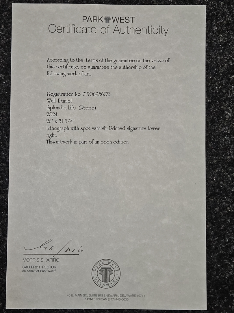 Splendid Life - Daniel Wall art collectible - Main Image 2