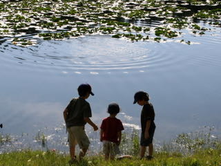 Wood Spider-Man Plaque