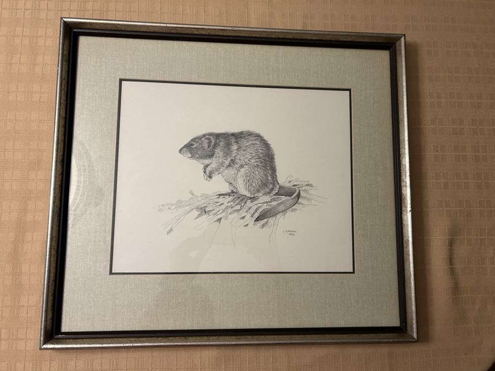 Avengers: Age of Ultron